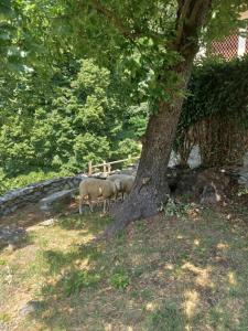 A garden outside Open Cascina