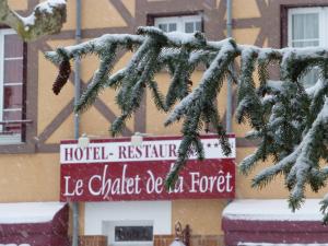Le Chalet de la Foret Hôtel 3 étoiles et Restaurant v zimě