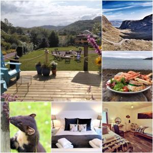 a collage of photos of a house with a bear at Applecross B&B & Cabins On NC500, 90 mins from Skye in Applecross