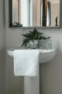 a bathroom sink with a towel and a plant on it at Applecross B&B & Cabins On NC500, 90 mins from Skye in Applecross