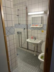 a bathroom with a shower and a sink and a toilet at Bed & Padel in Aavasaksa