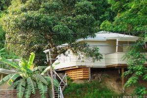 a house in the middle of a forest at Le repère des Pirates in Les Abymes