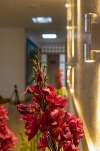 Fotografie z fotogalerie ubytování HOTEl PLAZA REAL v destinaci Santa Rosa de Cabal