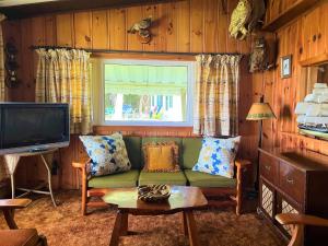 a living room with a green couch and a television at Somewhere In Time - RETRO SPACIOUS COTTAGE with PRIVATE SANDY BEACH in Wiarton