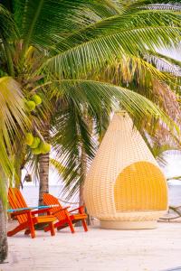 Φωτογραφία από το άλμπουμ του Quinta del Mar El Paraiso σε Tolu