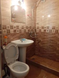 AdishiにあるStone House marexiのバスルーム(トイレ、洗面台、シャワー付)