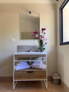 a bathroom with a sink and a mirror and towels at Agriturismo SS Annunziata in San Vincenzo