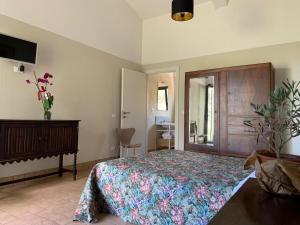 a bedroom with a bed and a dresser and a mirror at Agriturismo SS Annunziata in San Vincenzo