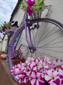 a purple bicycle with flowers in a basket at Guest House Time Out in Sarajevo