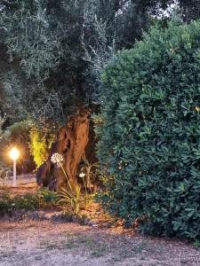 Vonkajšia záhrada v ubytovaní Cozy Corfu Bungalow 5 minutes to Aqualand
