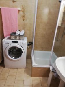 y baño con lavadora y ducha. en Appartamento Angela, en Riva del Garda