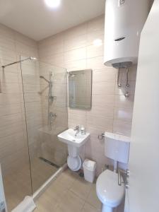a bathroom with a sink and a shower and a toilet at Dorija in Zmijice