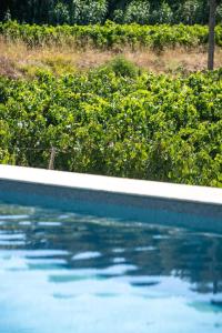 Piscina di Côté vignes cassis o nelle vicinanze