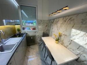 a kitchen with a sink and a counter top at Lonyay Street Apartment in Budapest