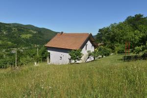 Příroda nedaleko apartmánu