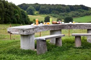 una mesa de picnic de piedra con comida en un campo en Bungalowpark Landsrade en Gulpen