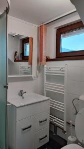 a bathroom with a sink and a toilet and a window at DARIAMAF in Câmpulung Moldovenesc