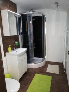 a bathroom with a shower and a sink and a toilet at Penzión u Coľa in Prievidza