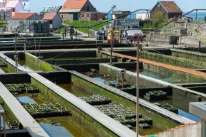 Zahrada ubytování Unieke stadswoning met jacuzzi en sauna max 8 pers