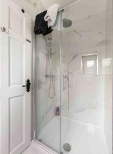 a shower with a glass door in a bathroom at Kingfisher Riverside Retreat in Kenmare