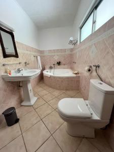 a bathroom with a toilet and a sink and a tub at Bottle Palm Villa in Victoria