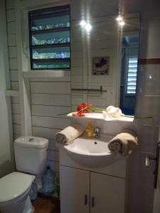 uma casa de banho com um lavatório e um WC em Le repère des Pirates em Les Abymes