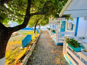 a row of houses with blue fences and a tree at Manu B&B in Murighiol