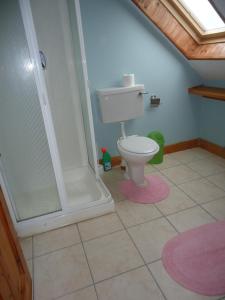 een badkamer met een toilet en een douche bij Portmagee Seaside Cottages in Portmagee