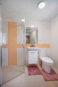 ein Bad mit einem WC, einer Dusche und einem Waschbecken in der Unterkunft Apartmán pod čerešňou in Banská Štiavnica