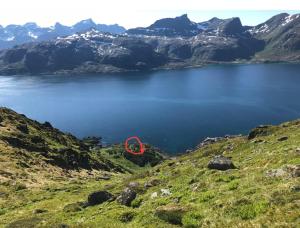 a red object in the middle of a lake at Vettinghytta, close to the sea with amazing view. in Gravdal