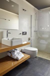 a bathroom with a sink and a toilet and a shower at Hotel Rural Gaintza in Getaria