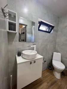 a bathroom with a sink and a toilet and a mirror at Dili guest house in Dilijan +9 photos