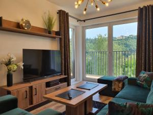 a living room with a television and a large window at Apartamenty Ski & Fun Spokojna in Wisła