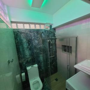 W łazience znajduje się toaleta i przeszklony prysznic. w obiekcie SOFICOS Sea View Apartment w mieście Nafpaktos