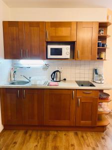 Kuchyň nebo kuchyňský kout v ubytování Alba Apartmany Železná Ruda