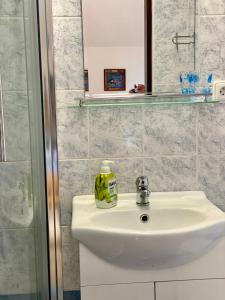 Koupelna v ubytování Alba Apartmany Železná Ruda + 37 fotografií