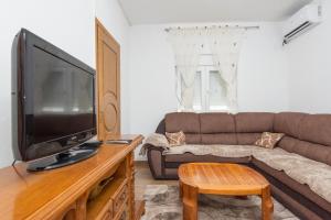 a living room with a couch and a flat screen tv at Apartment Tanja in Mrčevac