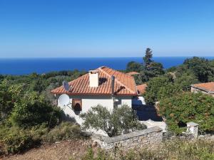 a house on a hill with the ocean in the background at Kouros Villa! in Paltsi Pilion