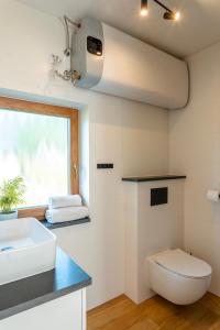 La salle de bains est pourvue de toilettes, d'un lavabo et d'une fenêtre. dans l'établissement Domki Pod Lasem, à Krościenko nad Dunajcem