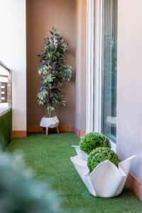 Zahrada ubytování Impresionante apartamento en Plaza de Galicia