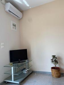 a living room with a television and a potted plant at Cute seaside apartment in Kalloni