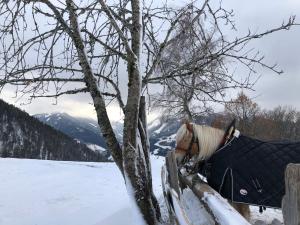 Chalet Dachstein v zime