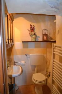 un piccolo bagno con servizi igienici e lavandino di Monolocale Rustico Mamma Piera a Manciano