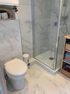 a bathroom with a toilet and a shower at Studio le Monroe les pieds dans l'eau 10 m de la mer in La Seyne-sur-Mer