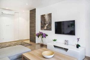 TV a/nebo společenská místnost v ubytování Espanhouse Margaret apartment