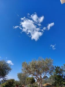 a blue sky with a tree and clouds at Arcamyrtus in Alghero