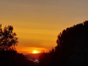 a sunset with a tree in the foreground at Arcamyrtus in Alghero