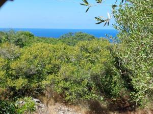 a view of the ocean from a hill with trees at Arcamyrtus in Alghero