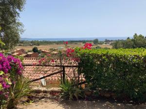 a garden with pink flowers and a fence at Villa Michela in Costa Rei