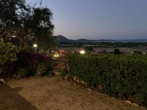 a view of a garden at night with a hedge at Villa Michela in Costa Rei